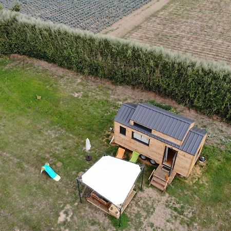 Tiny House Sur La Presqu'Ile Sauvage Hotel Lanmodez ภายนอก รูปภาพ